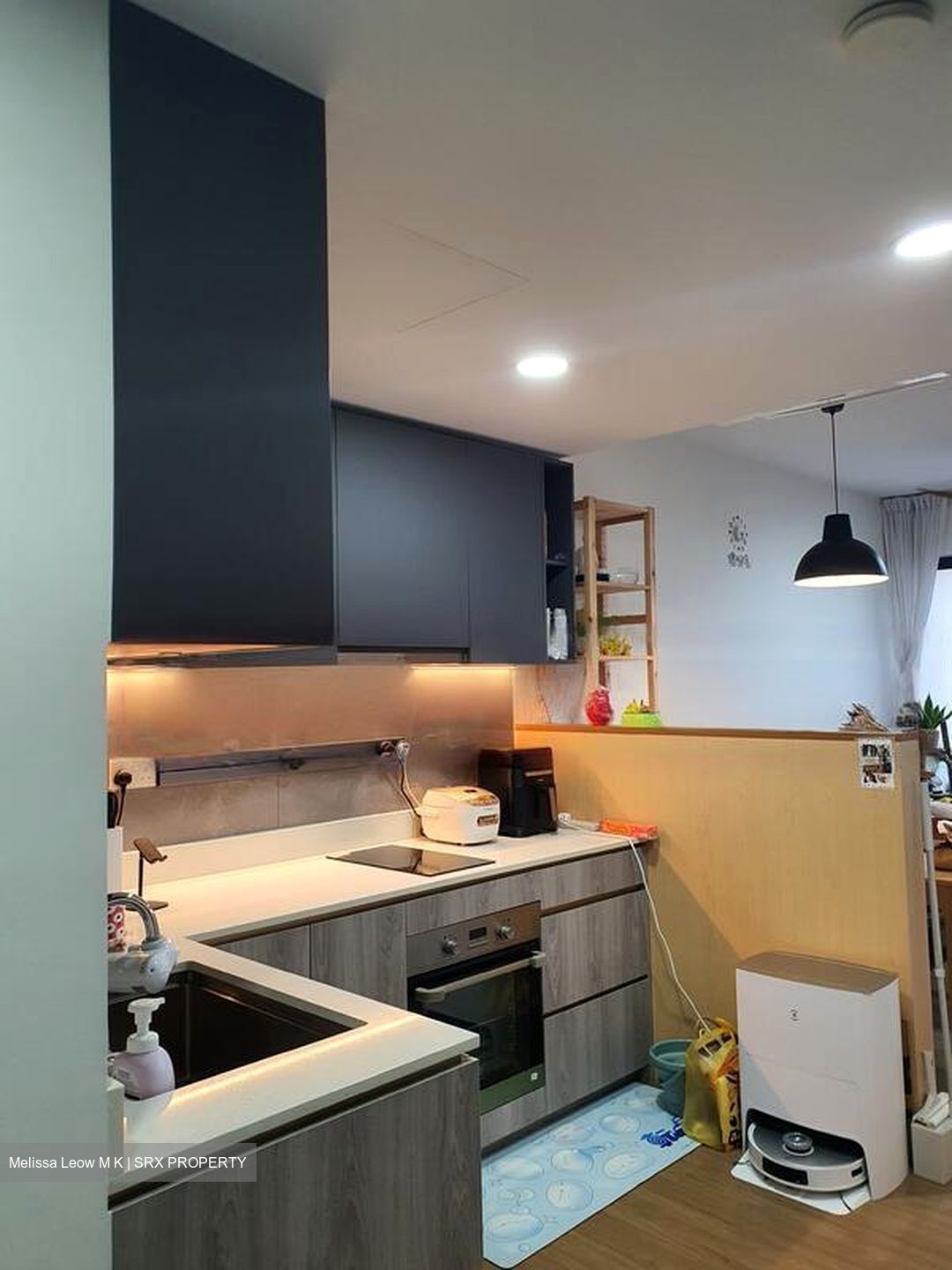 Riverfront Residences (D19), Apartment #458988731